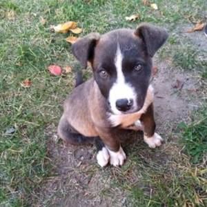 Meet your Posher, Jean